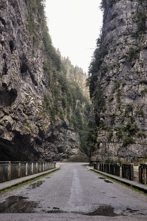 Mountain road in Yupsharsky canyon in Pitsundain, Abkhazia
