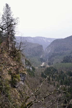 High view on Yupsharsky canyon in Pitsundain, Abkhaziaの写真素材
