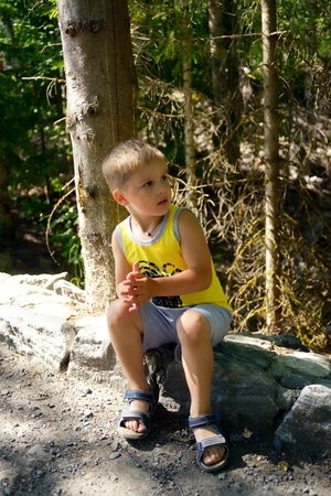 Little child has lost in wood and look roundの写真素材