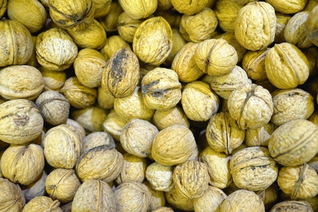 Closeup walnut backgroundの写真素材