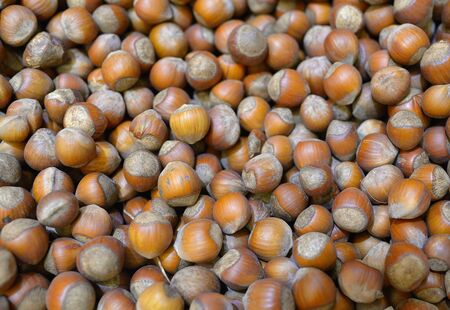 Closeup crude hazelnut background