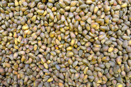 Closeup pine nuts backgroundの写真素材