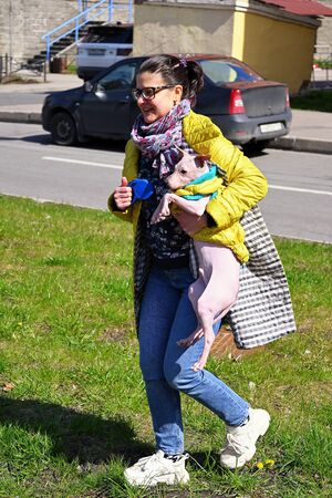 American Hairless Terrier and womanの写真素材