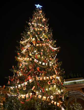 Christmas tree in Saint Petersburg, Russiaの写真素材