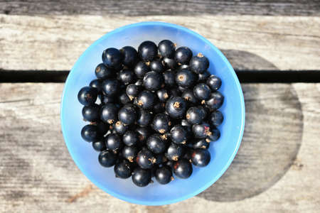 Black currants in blue bowl on wooden stumpの写真素材