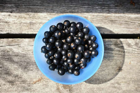 Black currants in blue bowl on wooden stumpの写真素材