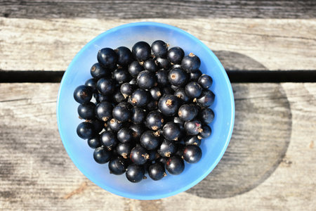 Black currants in blue bowl on wooden stumpの写真素材