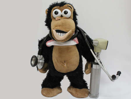 A high reolution of a brown monkey as a doctor