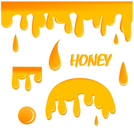 Dripping honey. Liquid golden oil or sauce food drops caramel splash and flowing vector realistic template.Graphic concept for your design.Vectorのイラスト素材