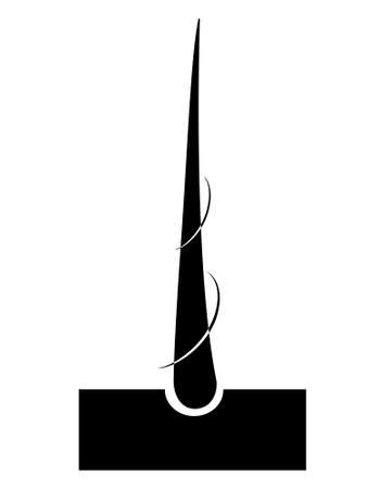 Hair care icon.Hair care serum follicle diagnostics. Black element of folicula hair. The power of hairのイラスト素材