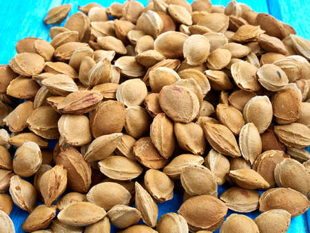 apricot pits on a blue background