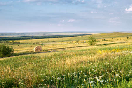 summer meadow, field, end of the day a cloud on it
