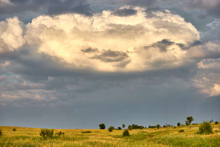 summer meadow, field, end of the day a cloud on itの写真素材