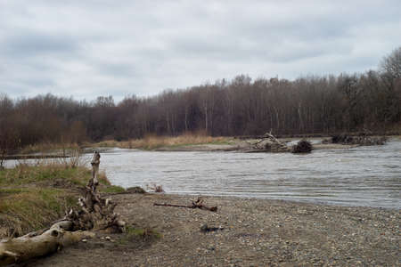 early spring in the northern Caucasus, the Kuban Riverの写真素材