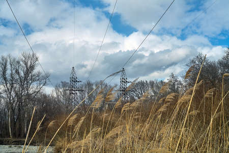sky clouds power tower wires river dried grass reeds bare trees