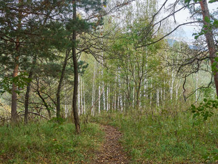 neighborhoods and parks of the city of Kislovodsk Northern Caucasus, Stavropol regionの写真素材