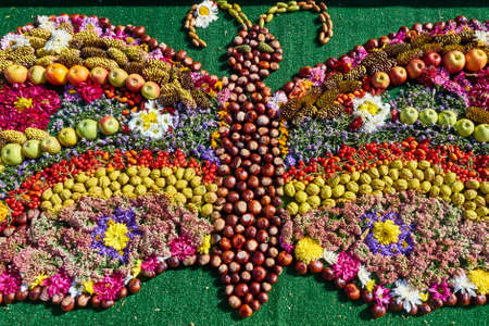 autumn collage figures composed of fruits, vegetables and flowersの写真素材