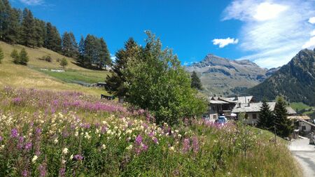 Heading a Swiss villageの写真素材