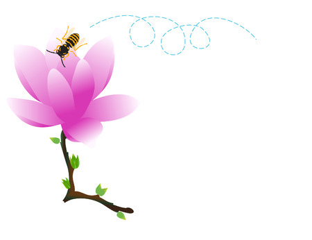vector  illustration of a single magnolia flowerのイラスト素材