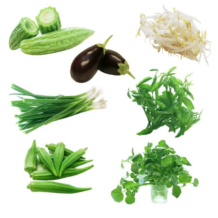 Set of vegetable isolated on white backgroundの写真素材