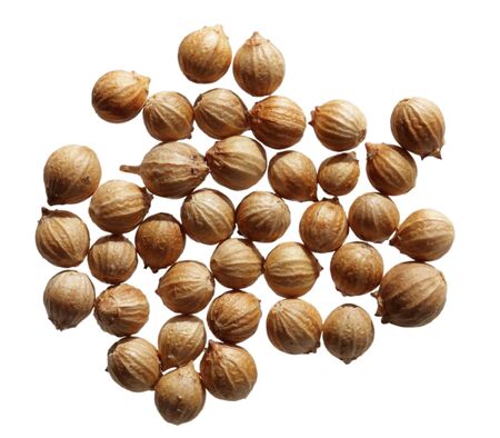 Dried cilantro coriander seeds isolated on white