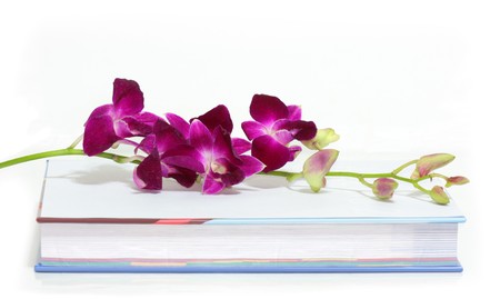 Fresh orchid flower on a text book isolated on whiteの写真素材