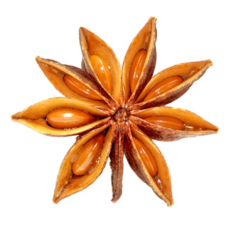 Single anise spicy star isolated on whiteの写真素材