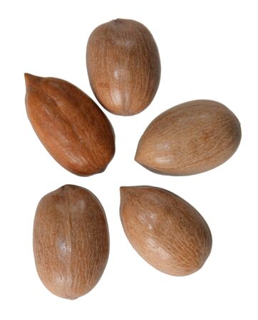 Pile of pecan nuts isolated on whiteの写真素材