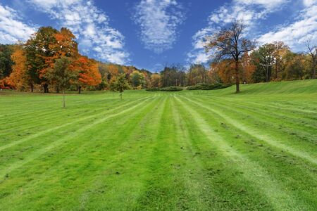 Mowed tracks and cloudscapes  with colorful trees in the parkの写真素材