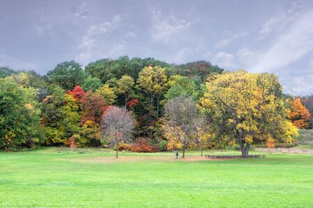Autumn landscape in the park with gray sky
