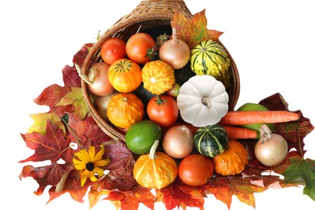 Colorful vegetables autumn harvest isolated on whiteの写真素材