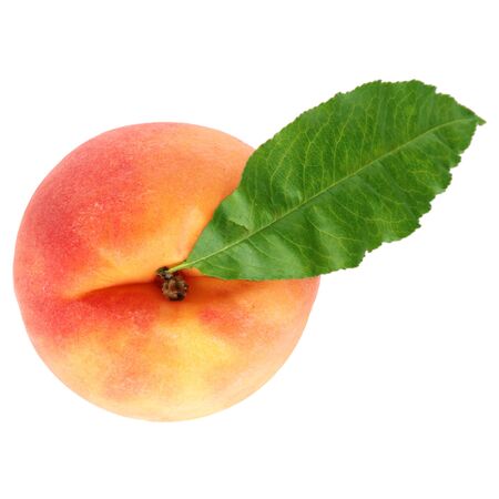 Single peach fruit and leaf isolated on whiteの写真素材