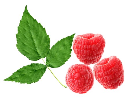 Raspberries and leaf isolated on white background