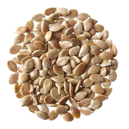 Group of pumpkin seeds isolated on whiteの写真素材