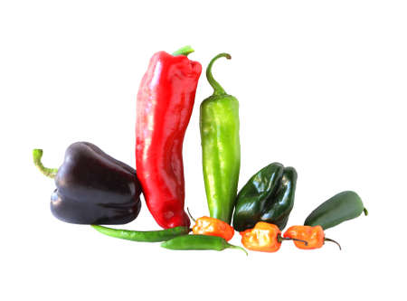 Varieties chile peppers isolated on white