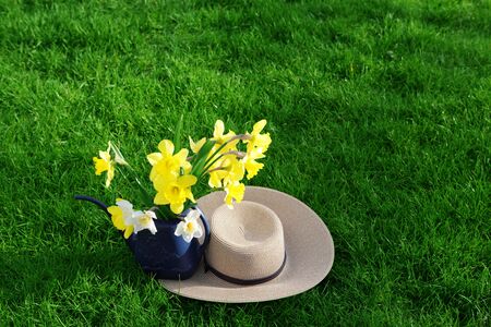 Daffodill flowers in the watering can and summer hatの写真素材