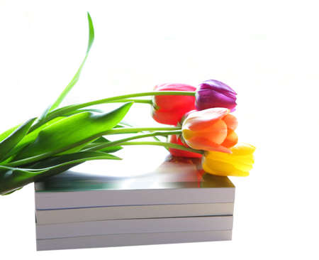 Bunch of colorful tulips flower over the booksの写真素材