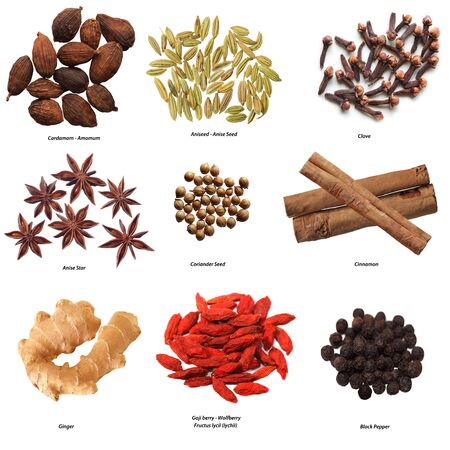 Set of nine spices isolated on whiteの写真素材