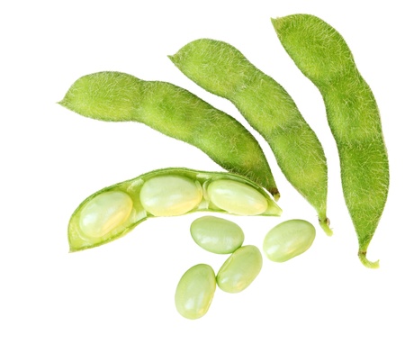 Fresh soy beans isolated on whiteの写真素材