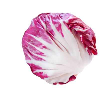Fresh radicchio red cabbage isolated on white backgroundの写真素材