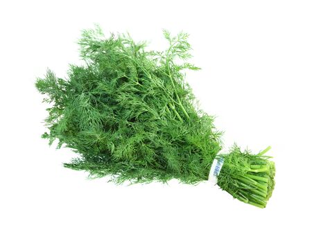 Bunch of fresh fennel leaves isolated on white backgroundの写真素材