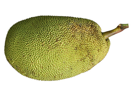 Ripe Jackfruit Jack Fruit isolated on white backgroundの写真素材