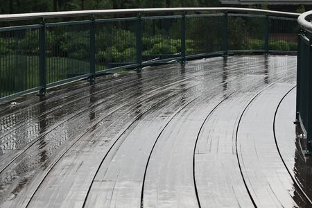 Wet boardwalk bridge curves across wetland on a rainy day