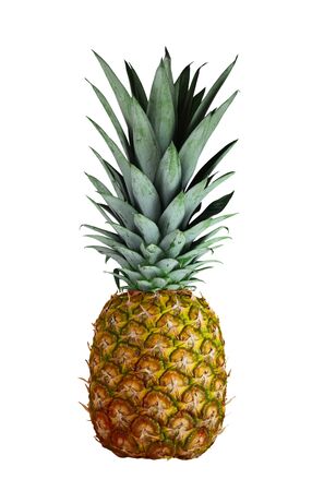 Rip pineapple fruit isolated on white backgroundの写真素材