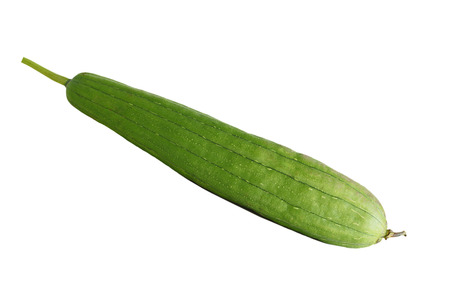 Sponge gourd  Vietnamese luffa isolated on white background