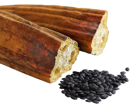 Dried Luffa Fruit with seeds isolated on white backgroundの写真素材