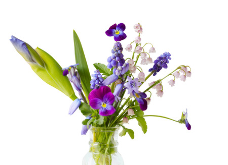 Spring purple flowers isolated on white background :  Iris, Bluebell, Maylily, Pansy, Grape Hyacinth Muscariの写真素材