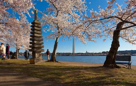 WASHINGTON DC - APRIL 8, 2018: The JapnaeseStone  Pagoda nestled in among the cherry trees and the Washington Monument in the background at the Tidal Basin during Cherry Blossom Festivalのeditorial素材