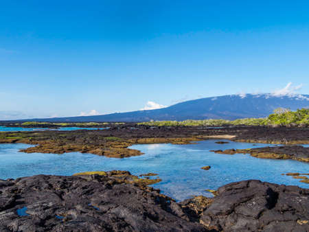 Beautiful shoreline scenery of Fernandina Island, Galapagos, Ecuadorの写真素材