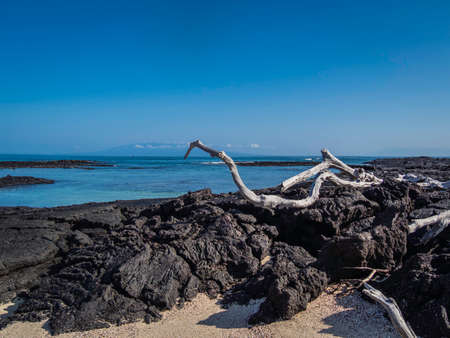 Beautiful volcanic landscape of Punta Moreno in Isabela Island, Galapagos, Ecuadorの写真素材